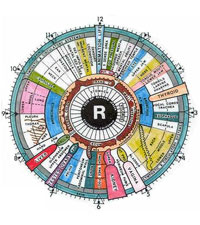 iridology